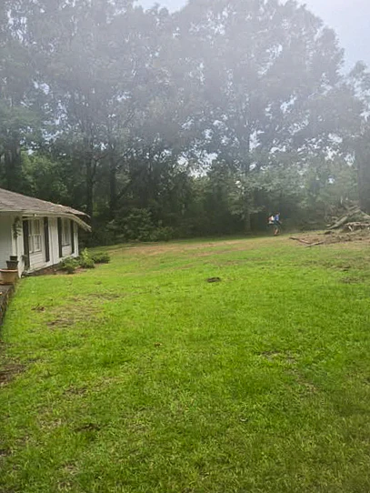 Cleared yard beside the home after the fallen tree was removed