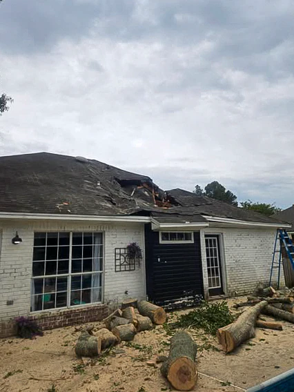 Tree sections on the ground after controlled removal from the roof and pool area