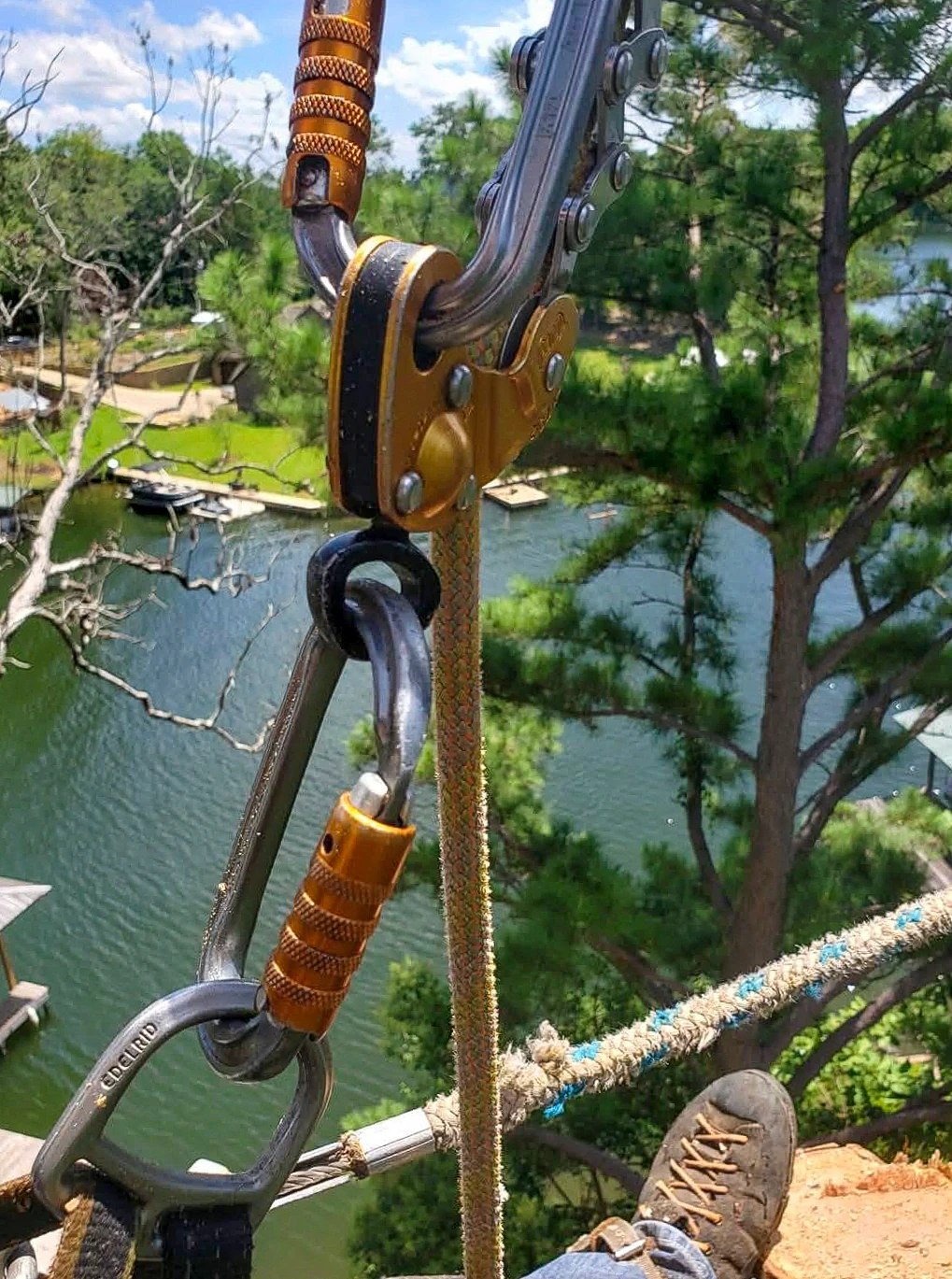 Close-up view of tree-climbing rigging hardware