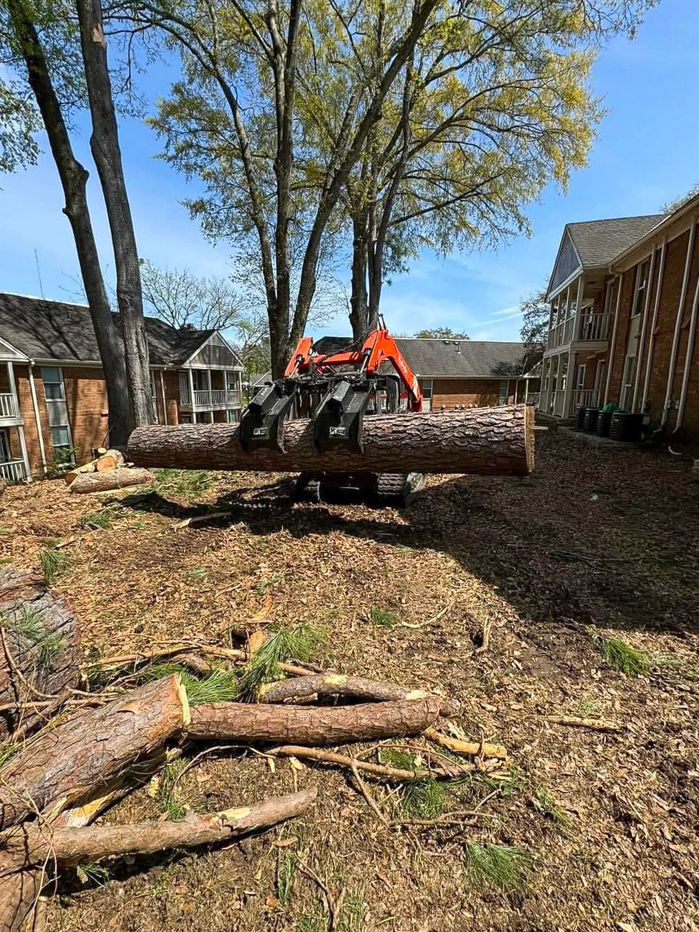 Compact loader moving a large trunk section